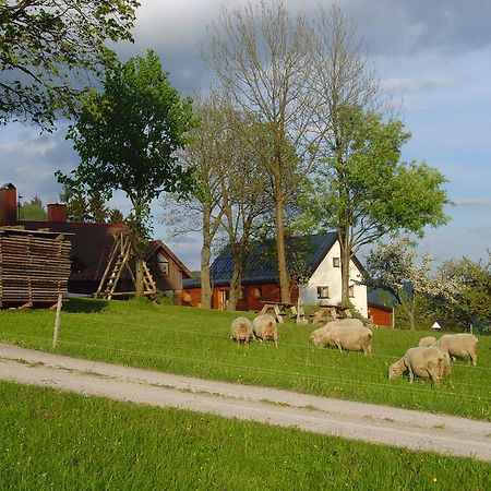 Pensjonat Na Zvonici Paseky nad Jizerou Zewnętrze zdjęcie