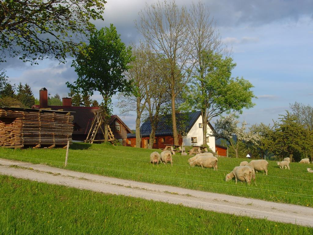 Pensjonat Na Zvonici Paseky nad Jizerou Zewnętrze zdjęcie