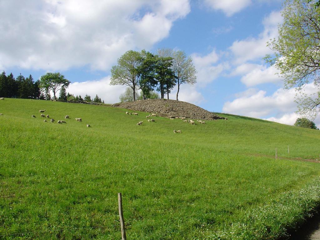 Pensjonat Na Zvonici Paseky nad Jizerou Zewnętrze zdjęcie